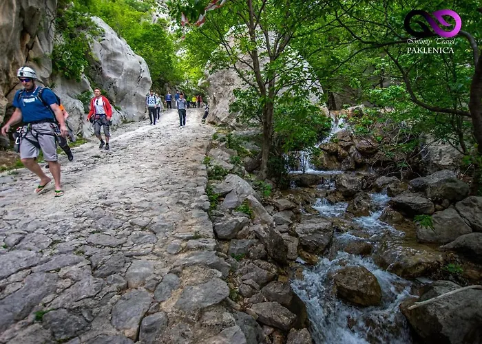 Maslina * Starigrad Paklenica