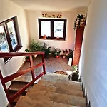 Maslina Appartement Starigrad Paklenica