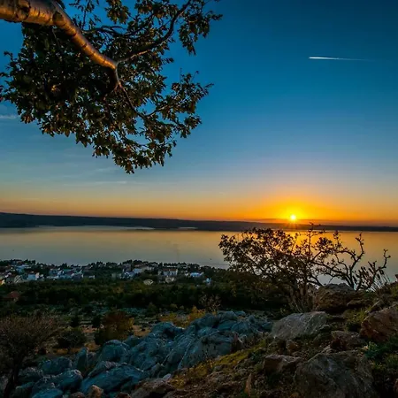 Maslina Starigrad Paklenica