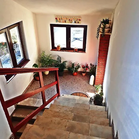 Maslina Appartement Starigrad Paklenica