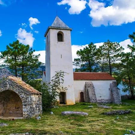Maslina Starigrad Paklenica