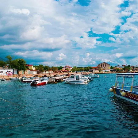 Maslina * Starigrad Paklenica