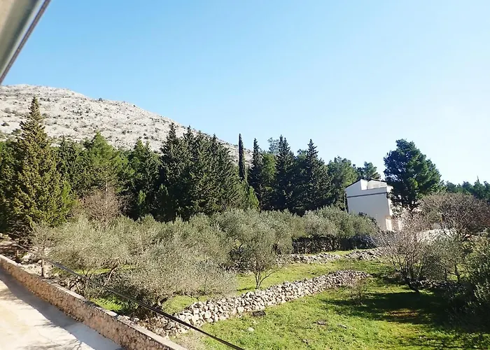 Appartement Maslina Starigrad Paklenica