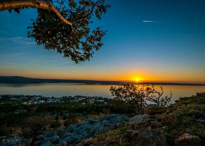 Maslina Starigrad Paklenica