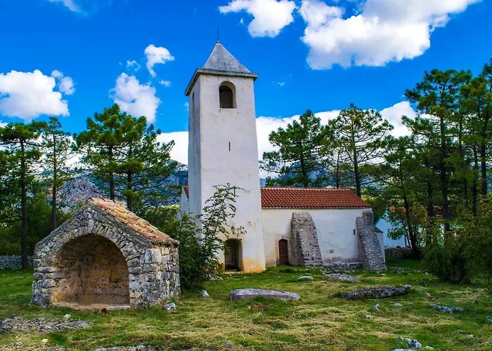 Maslina Starigrad Paklenica