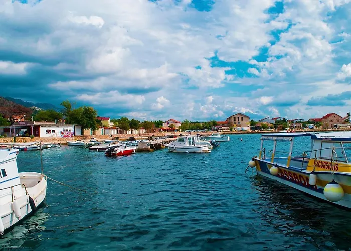 Maslina * Starigrad Paklenica